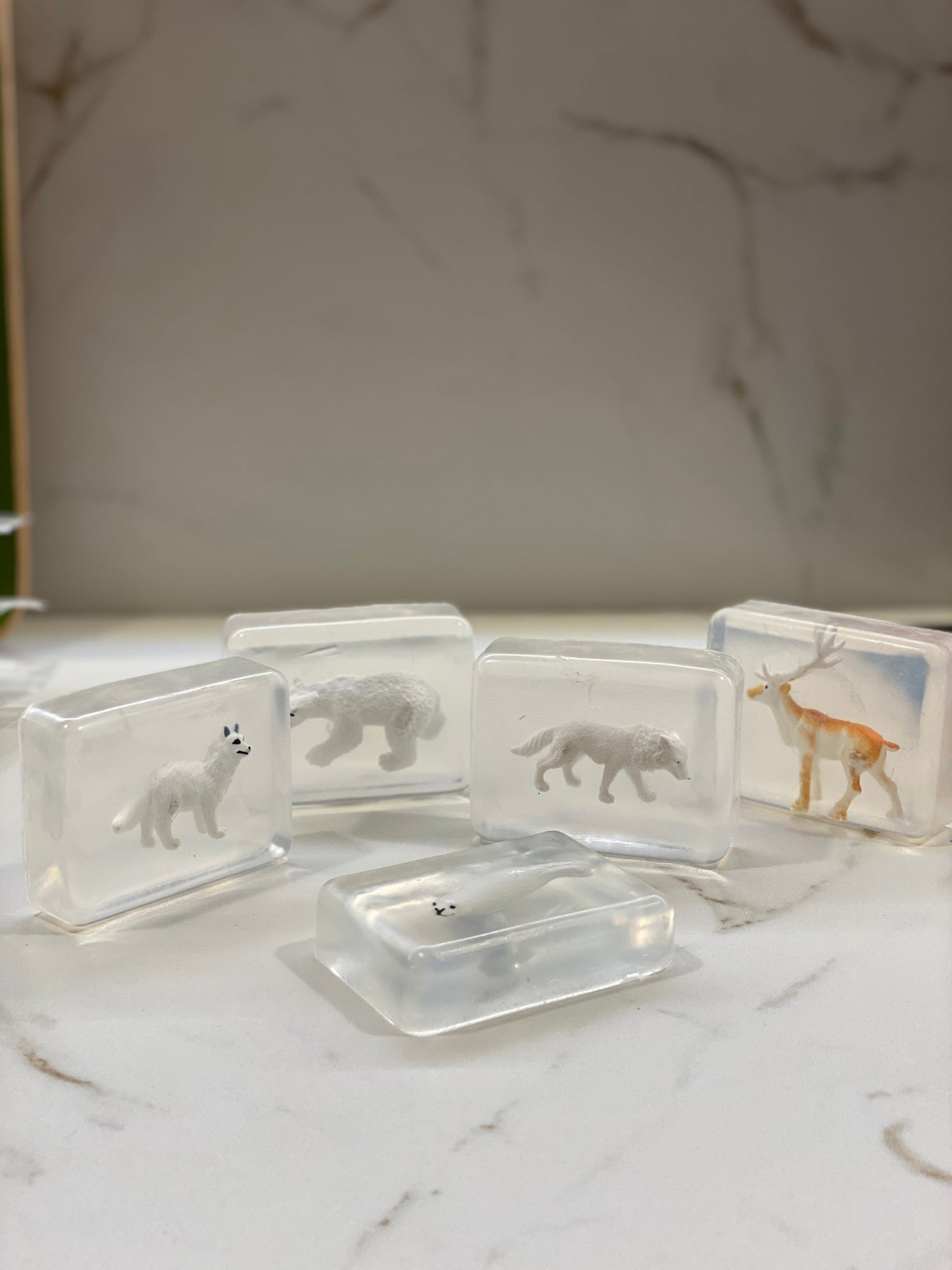 Les Animaux Arctiques