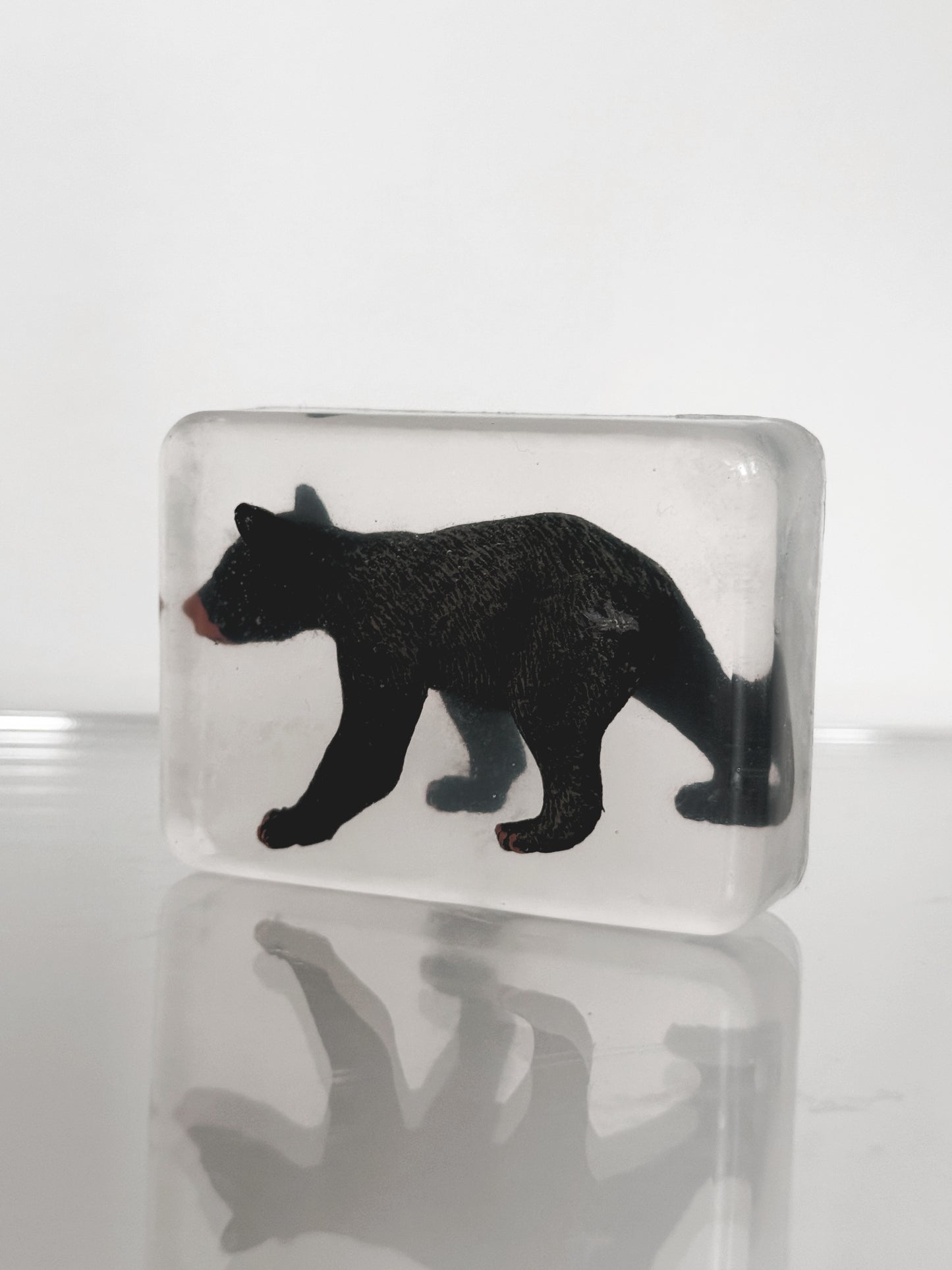 Savon Ours noir