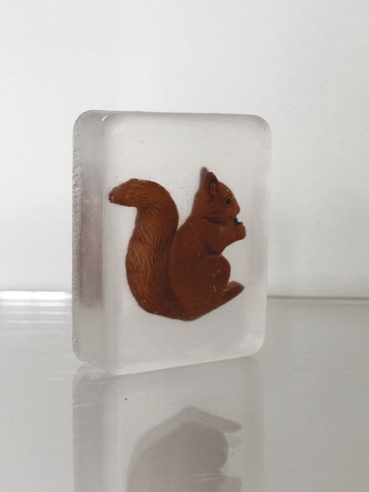 Savon Écureuil