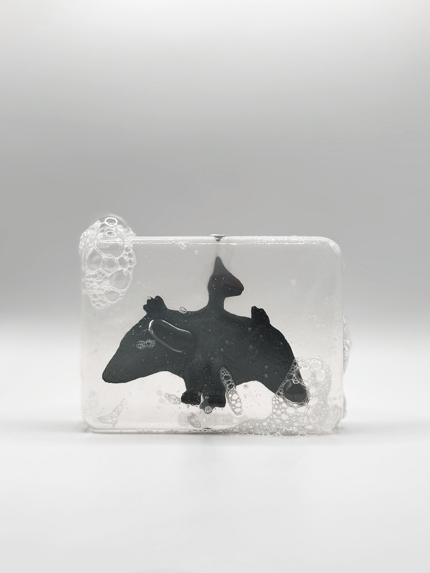 Savon Dinosaure Ptéranodon