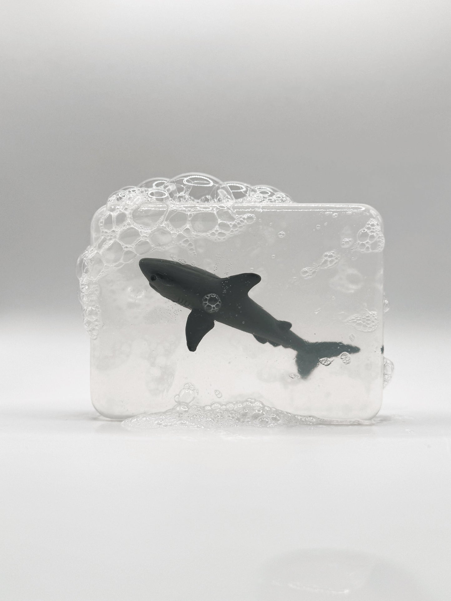 Requin