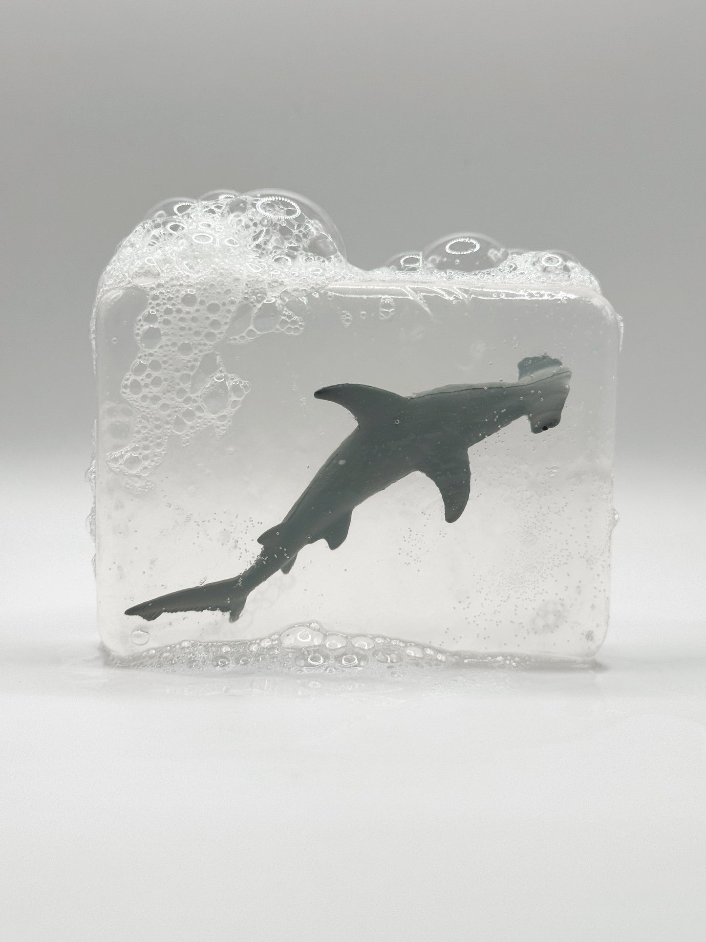 Requin marteau