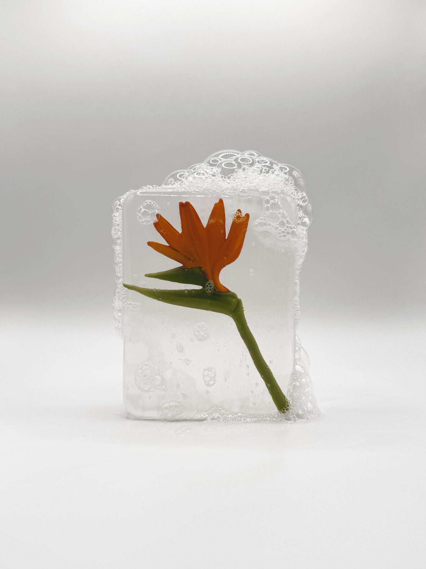 Savon FLEUR - Oiseau de paradis