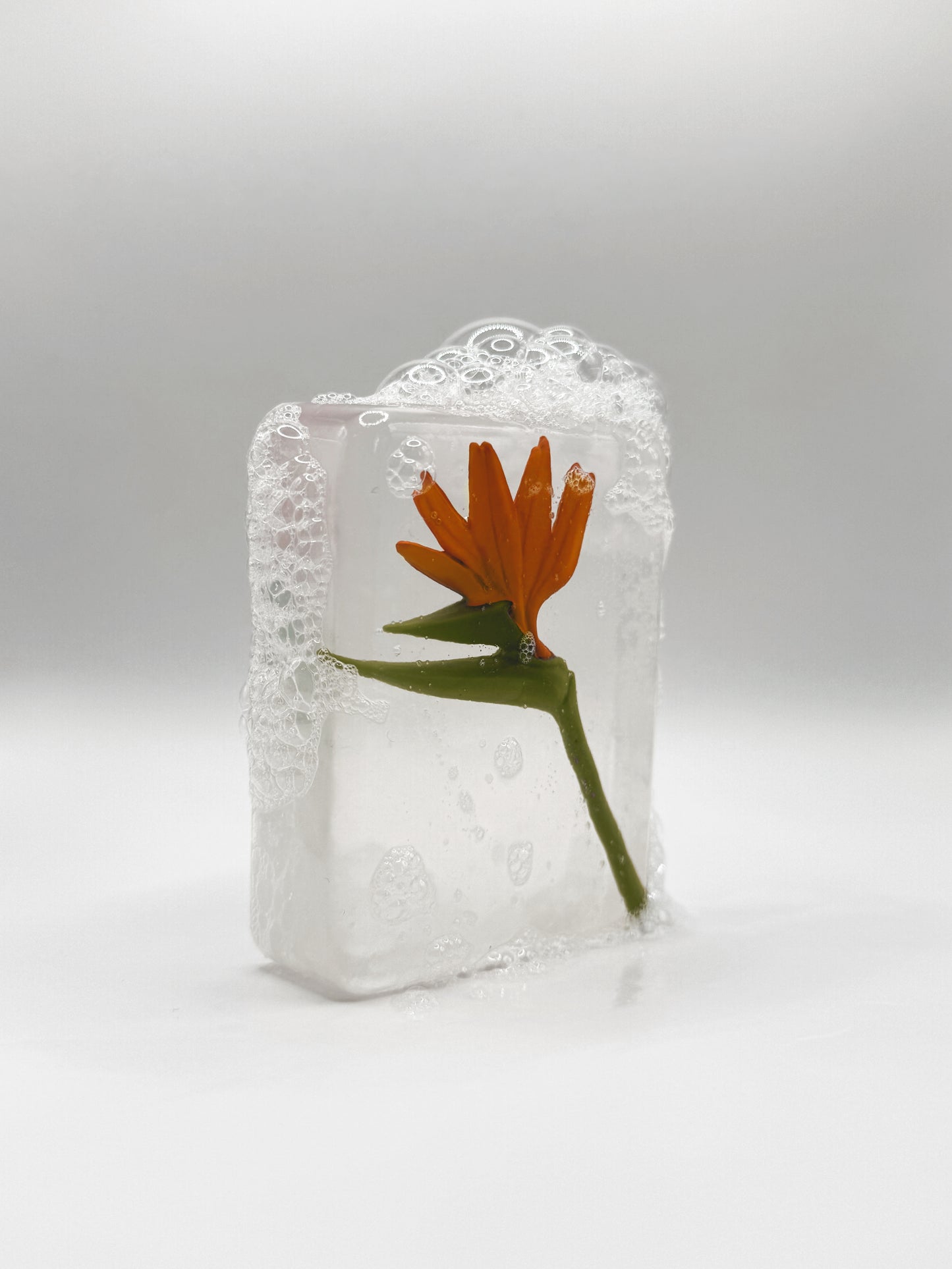 Savon FLEUR - Oiseau de paradis