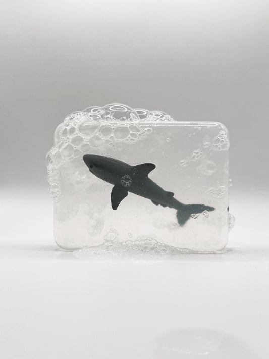 Requin