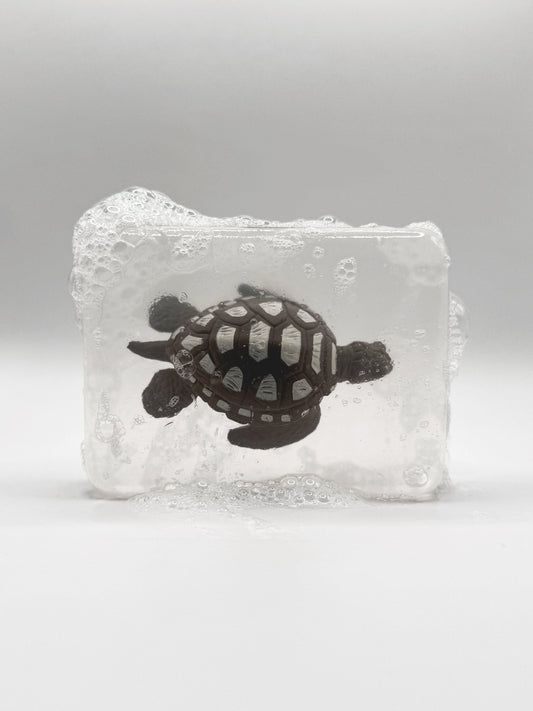 Tortue à tâches