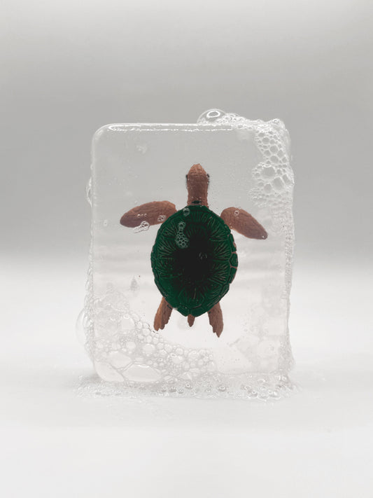 Tortue