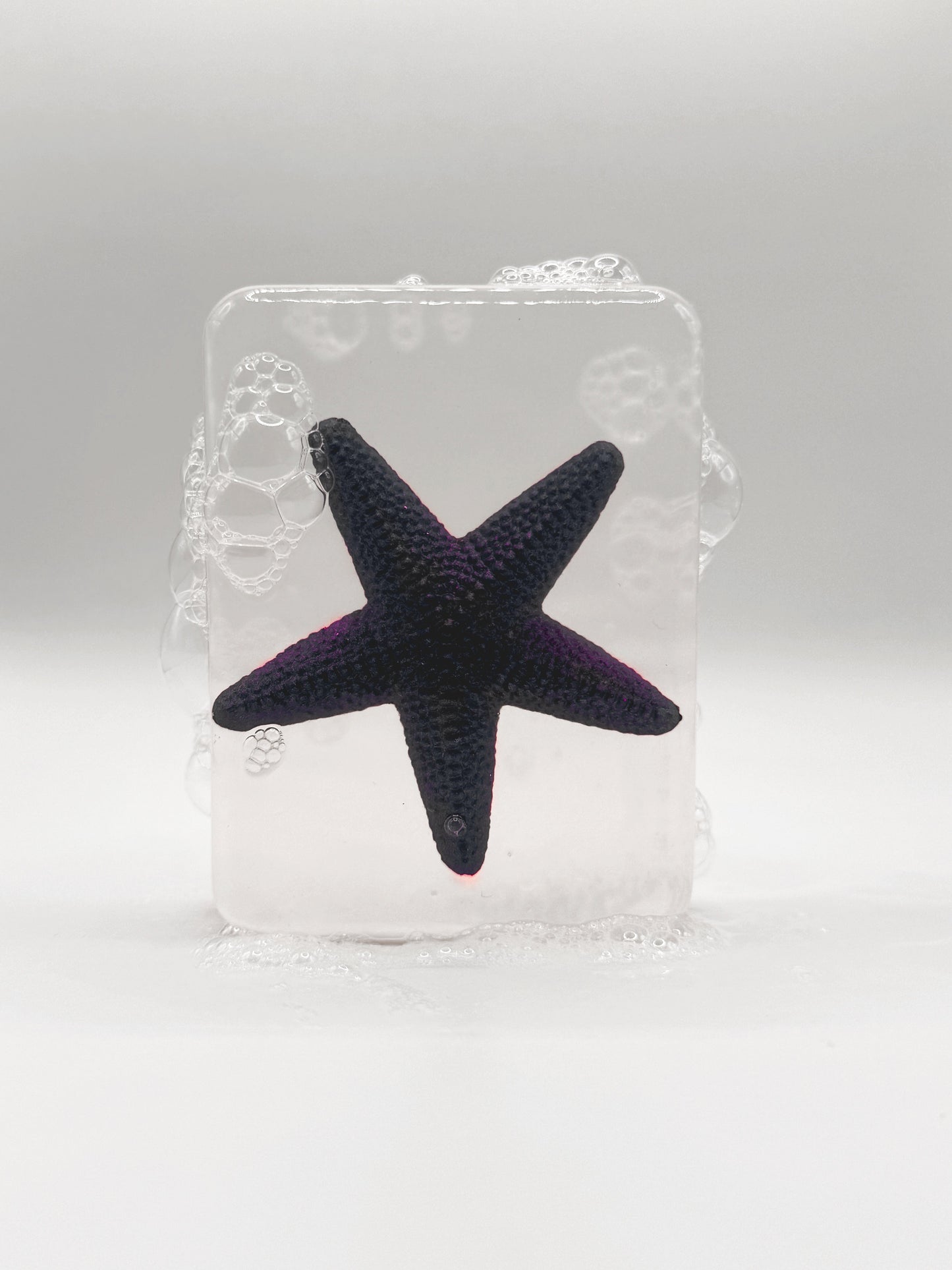 Etoile de mer violette