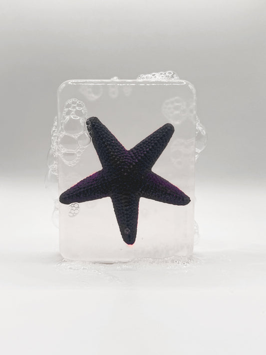 Etoile de mer violette