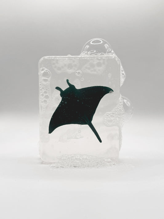 Raie noire