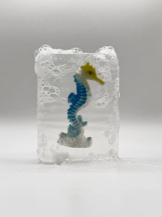 Hippocampe