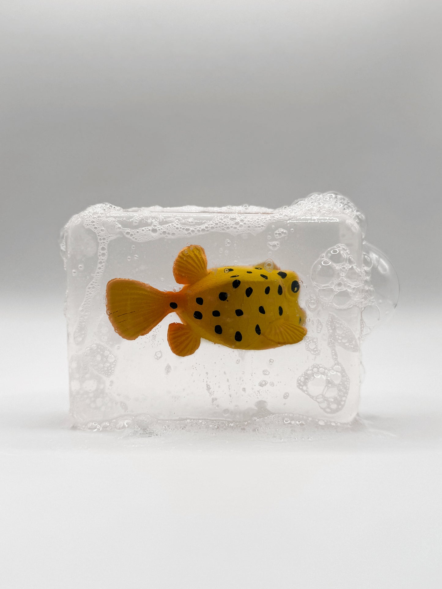 Poisson tronc