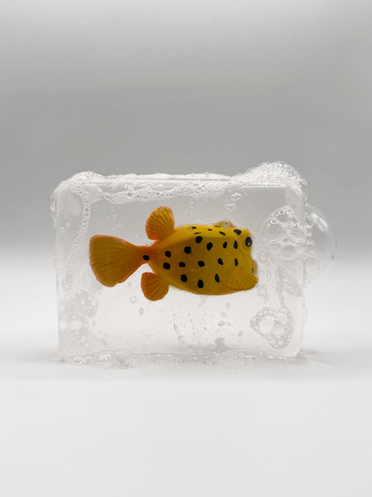 Poisson tronc