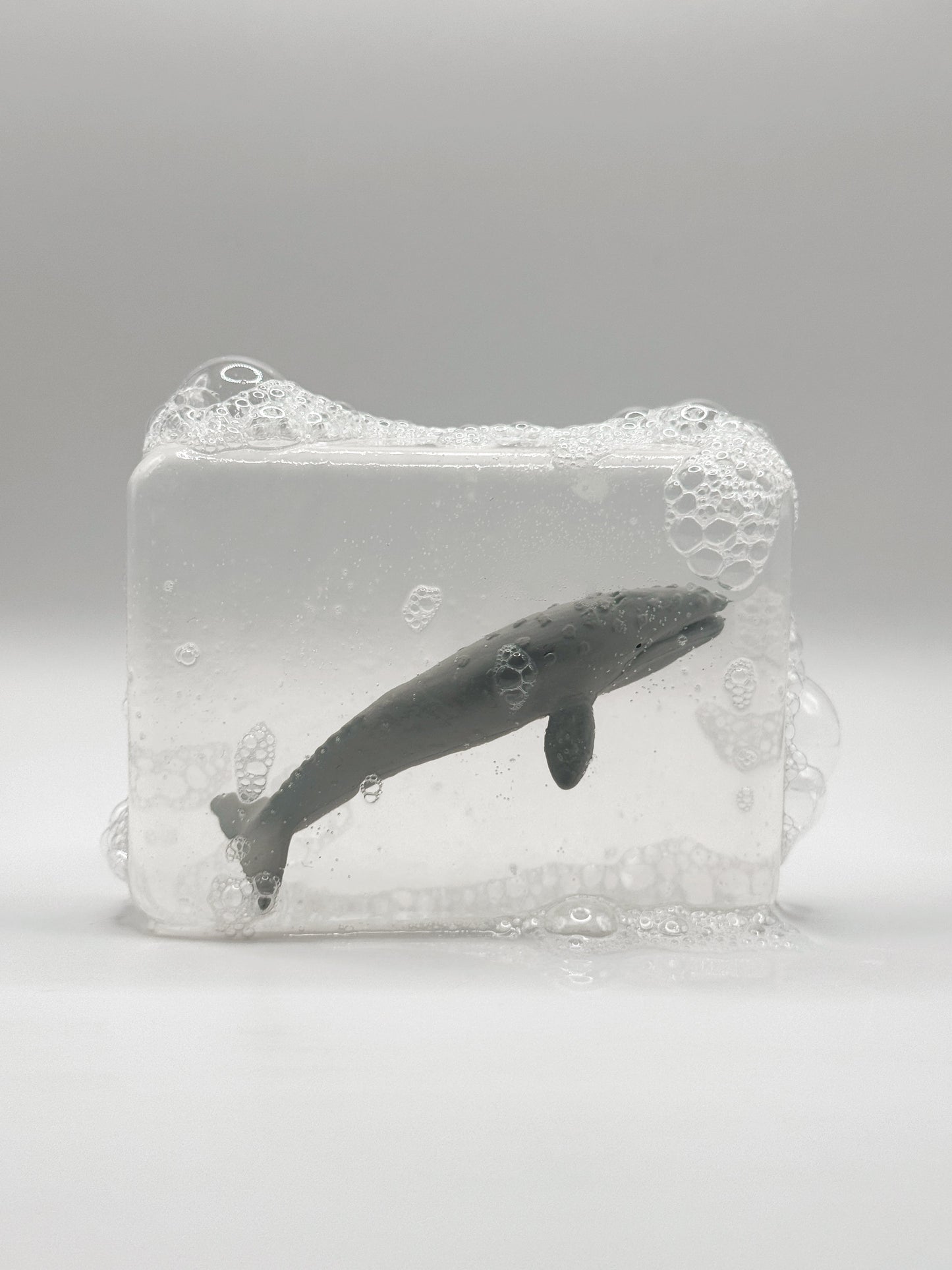 Baleine grise