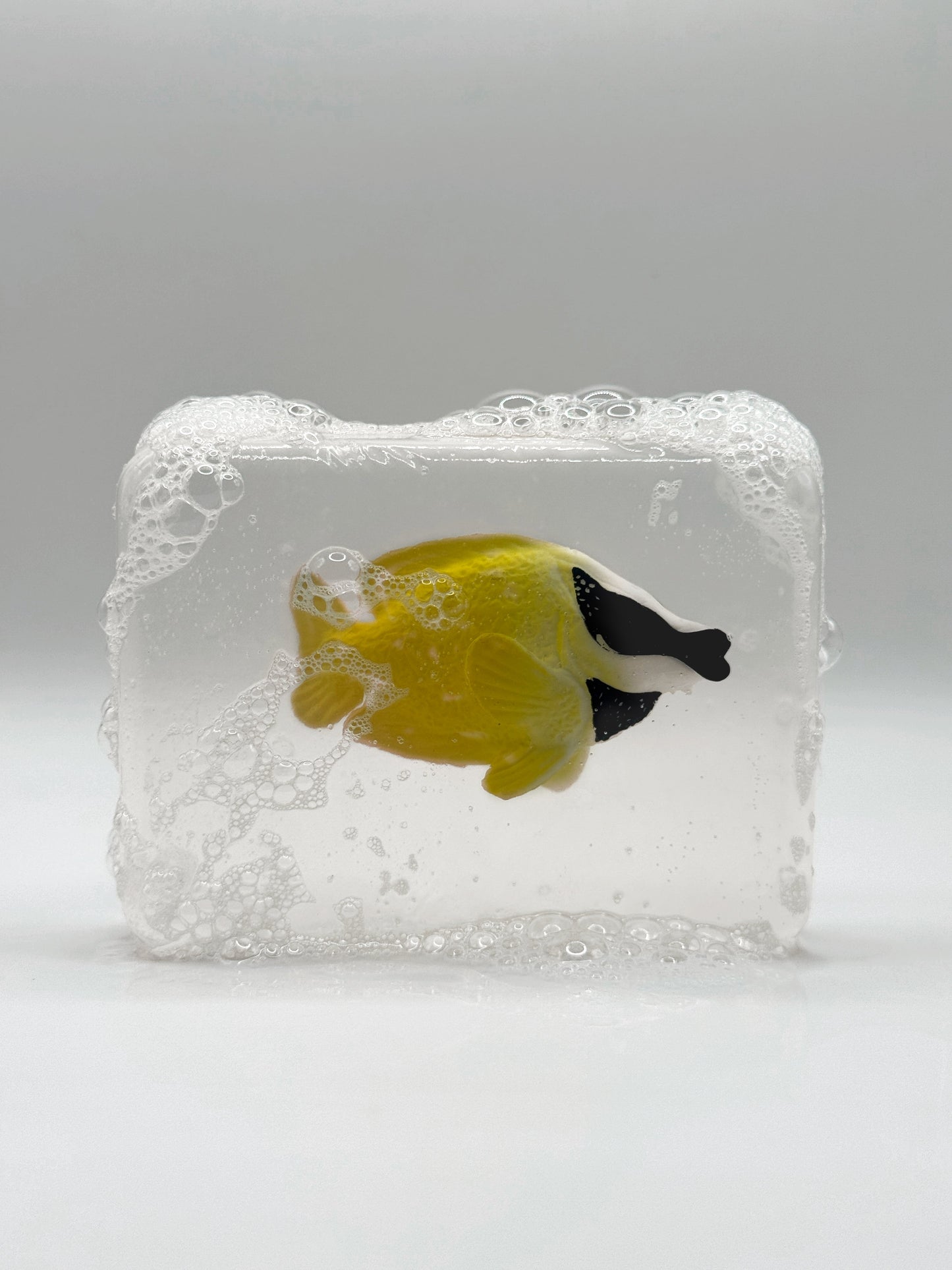Poisson renard jaune