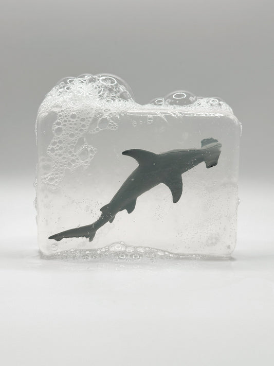 Requin marteau
