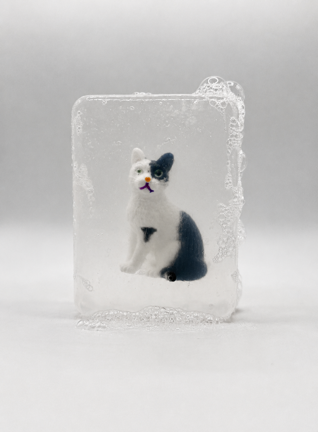Savon Chat