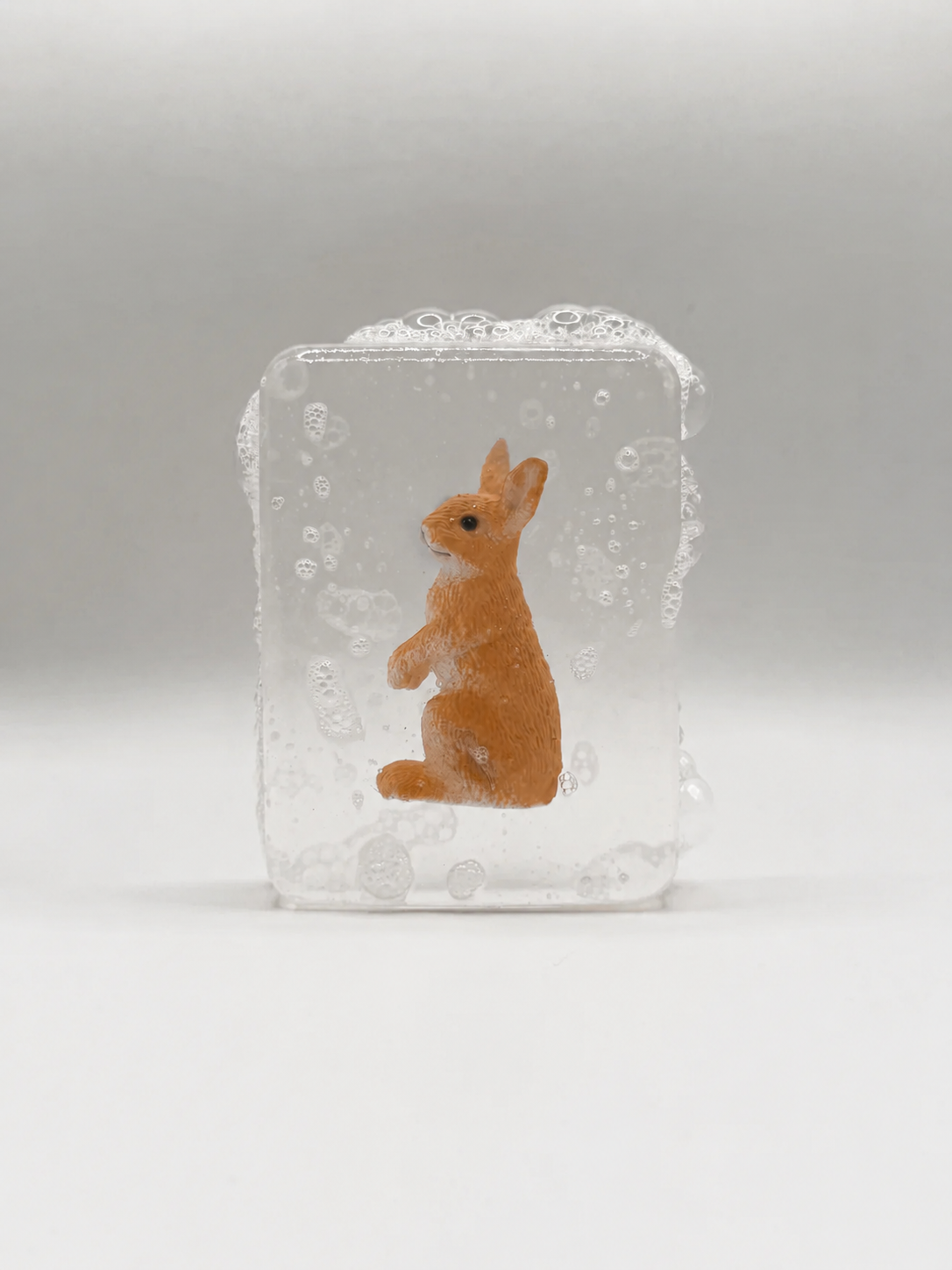 Savon Lapin